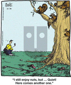 In the Bleachers on Monday October 26, 2009 Comic Strip