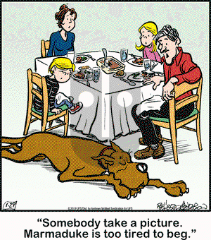 Marmaduke on Tuesday January 29, 2019 Comic Strip