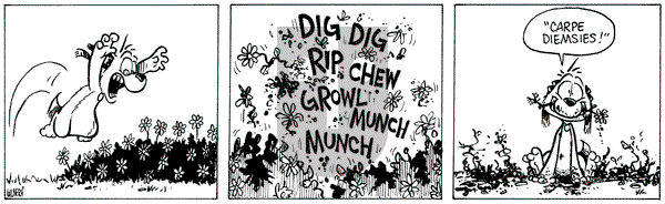 Buckles on Friday July 18, 2025 Comic Strip