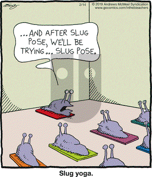In the Bleachers on Thursday February 14, 2019 Comic Strip