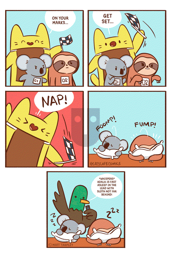 Cat's Cafe - Saturday February 15, 2020 Comic Strip