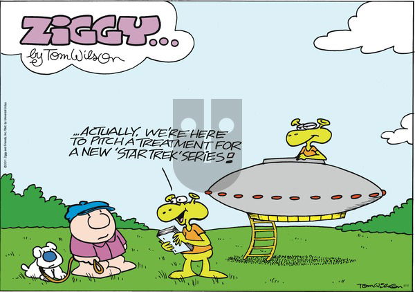 Ziggy on Sunday June 12, 2011 Comic Strip