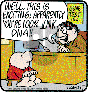 Ziggy on Wednesday May 7, 2025 Comic Strip