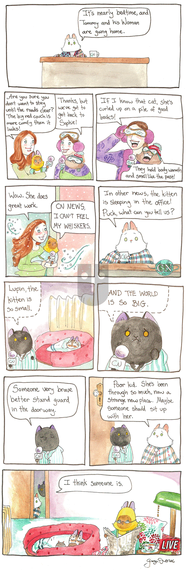 Breaking Cat News on Tuesday February 21, 2017 Comic Strip