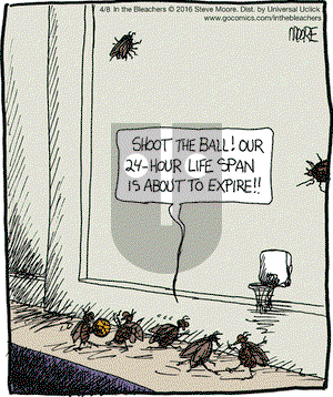 In the Bleachers on Friday April 8, 2016 Comic Strip