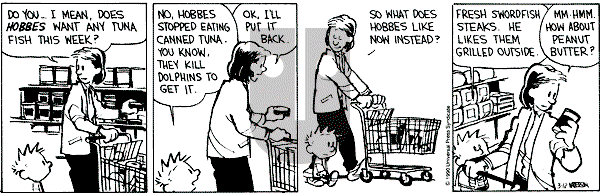 Calvin and Hobbes - Monday March 12, 1990 Comic Strip