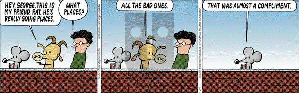 Pearls Before Swine - Thursday December 5, 2024 Comic Strip