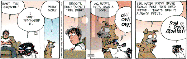 Get Fuzzy on Tuesday November 24, 2009 Comic Strip