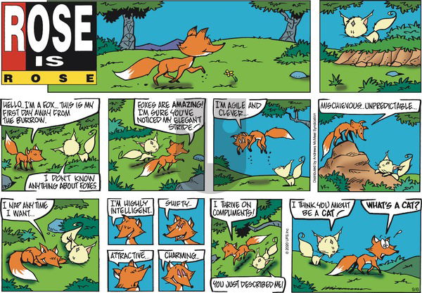 Rose is Rose on Sunday September 6, 2020 Comic Strip