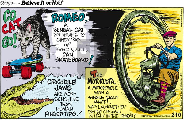 Ripley's Believe It or Not on Sunday February 10, 2013 Comic Strip