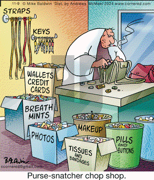Cornered - Saturday November 9, 2024 Comic Strip