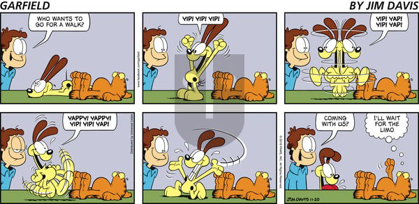 Garfield on Sunday November 20, 2016 Comic Strip
