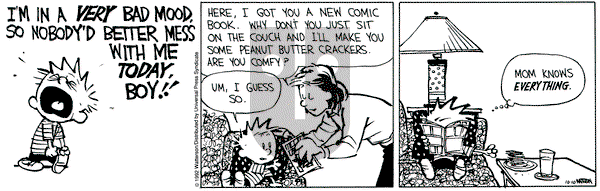 Calvin and Hobbes on Saturday October 10, 1992 Comic Strip
