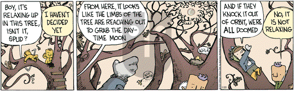 Wallace the Brave on Wednesday January 20, 2021 Comic Strip