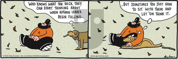 Overboard on Friday September 18, 2020 Comic Strip