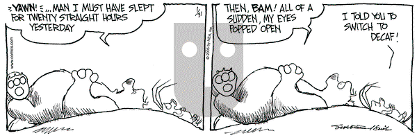 The Grizzwells on Monday January 31, 2005 Comic Strip
