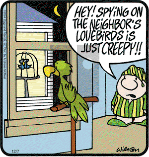 Ziggy - Saturday December 7, 2024 Comic Strip