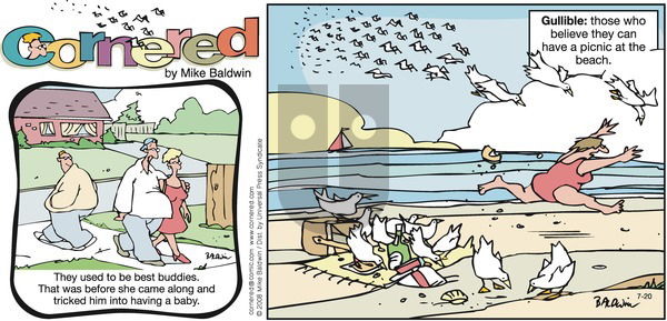 Cornered on Sunday July 20, 2008 Comic Strip