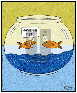 Half Full on Friday February 28, 2014 Comic Strip