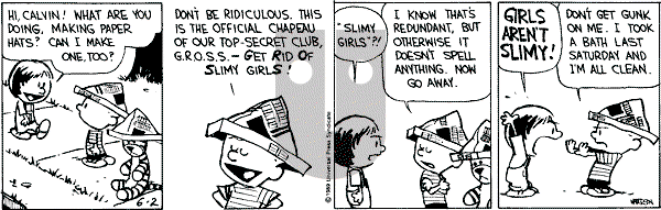 Calvin and Hobbes - Thursday June 2, 1994 Comic Strip