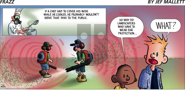 Frazz on Sunday July 20, 2025 Comic Strip