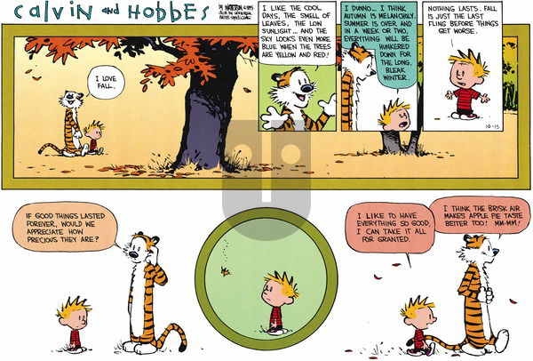 Calvin and Hobbes - Sunday October 15, 1995 Comic Strip