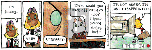 Breaking Cat News on Wednesday June 20, 2018 Comic Strip