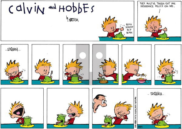 Calvin and Hobbes on Sunday April 21, 1991 Comic Strip