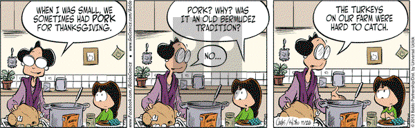 Baldo on Tuesday November 26, 2013 Comic Strip