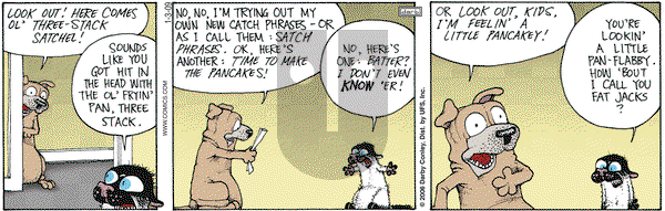 Get Fuzzy on Saturday January 3, 2009 Comic Strip