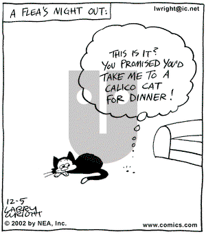 Kit 'N' Carlyle on Thursday December 5, 2002 Comic Strip