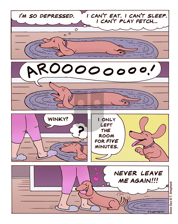 Snow Sez on Monday July 8, 2024 Comic Strip