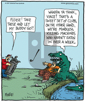 In the Bleachers on Saturday July 28, 2007 Comic Strip