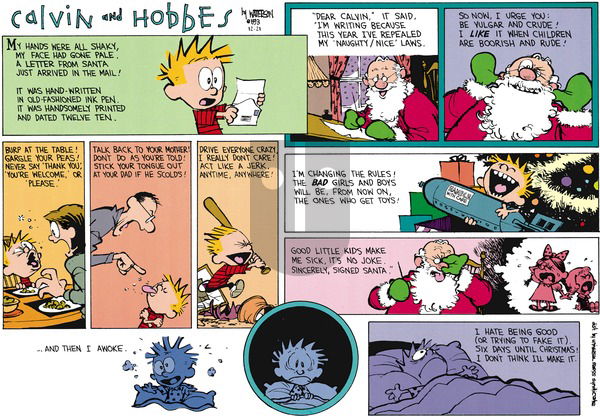 Calvin and Hobbes on Sunday December 19, 1993 Comic Strip