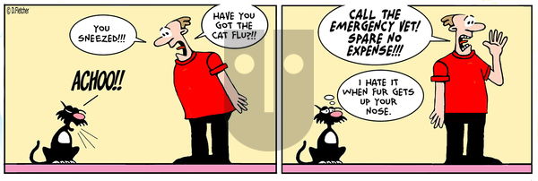 Crumb on Saturday July 5, 2025 Comic Strip