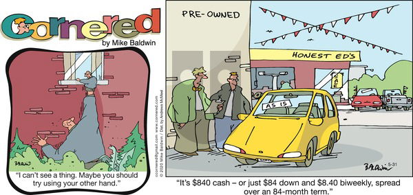 Cornered on Sunday May 31, 2020 Comic Strip