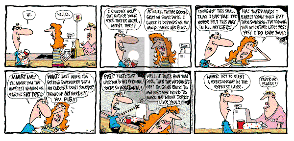 The Duplex on Sunday September 29, 1996 Comic Strip