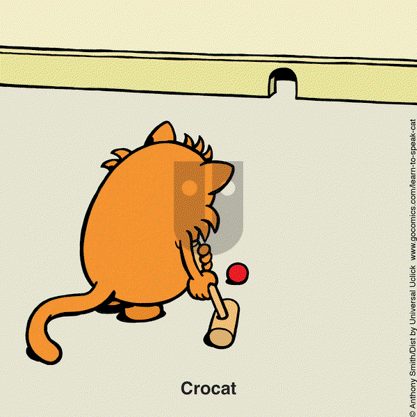 Learn to Speak Cat on Tuesday February 11, 2025 Comic Strip