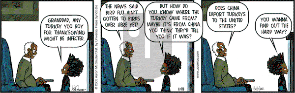 The Boondocks on Friday November 18, 2005 Comic Strip