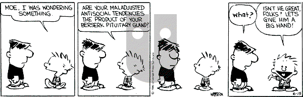Calvin and Hobbes - Saturday June 15, 1991 Comic Strip