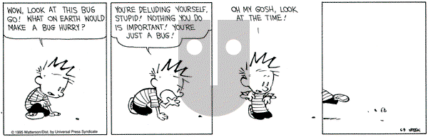 Calvin and Hobbes on Friday June 9, 1995 Comic Strip