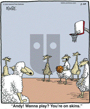 In the Bleachers on Friday February 20, 2004 Comic Strip