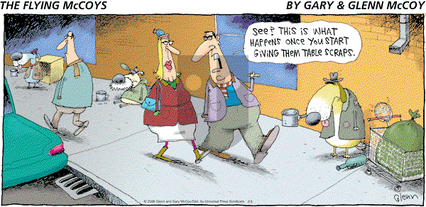 The Flying McCoys on Sunday February 3, 2008 Comic Strip