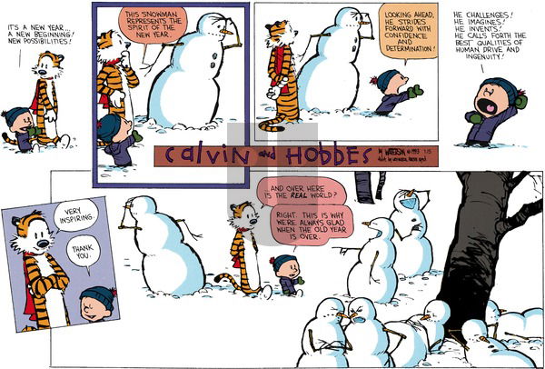 Calvin and Hobbes on Sunday January 3, 1993 Comic Strip