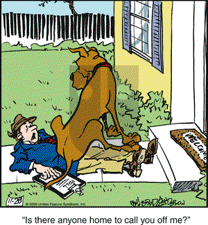Marmaduke on Saturday November 28, 2009 Comic Strip