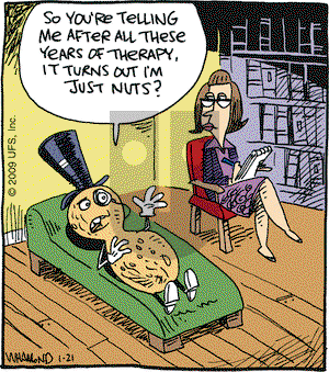 Reality Check on Wednesday January 21, 2009 Comic Strip