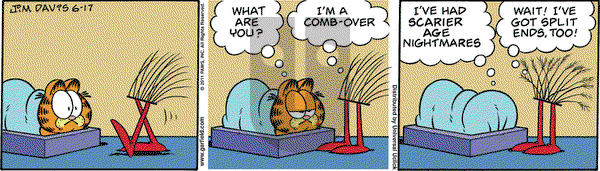 Garfield - Friday June 17, 2011 Comic Strip