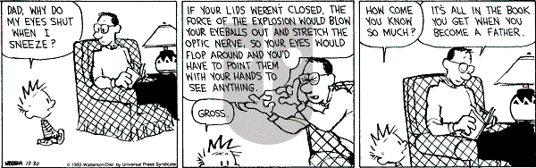 Calvin and Hobbes - Saturday October 30, 1993 Comic Strip