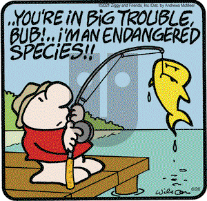 Ziggy on Saturday June 26, 2021 Comic Strip