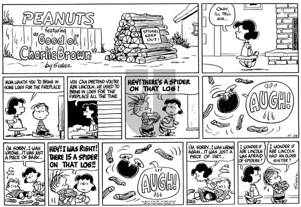 Peanuts on Sunday November 26, 1967 Comic Strip